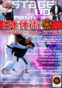 Affiche des 80 printemps PDF ntj efntj 01 09 2014