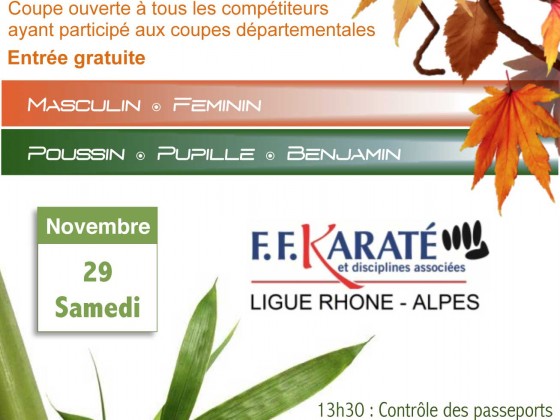 affiche-karate-coupe-kata-samedi-29-novembre